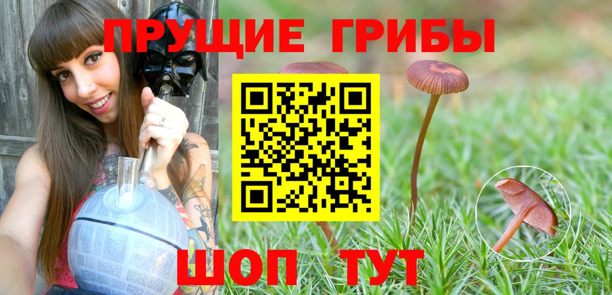 Дербент  Галлюциногенные грибы MAGIC MUSHROOMS  Вход с VPN 